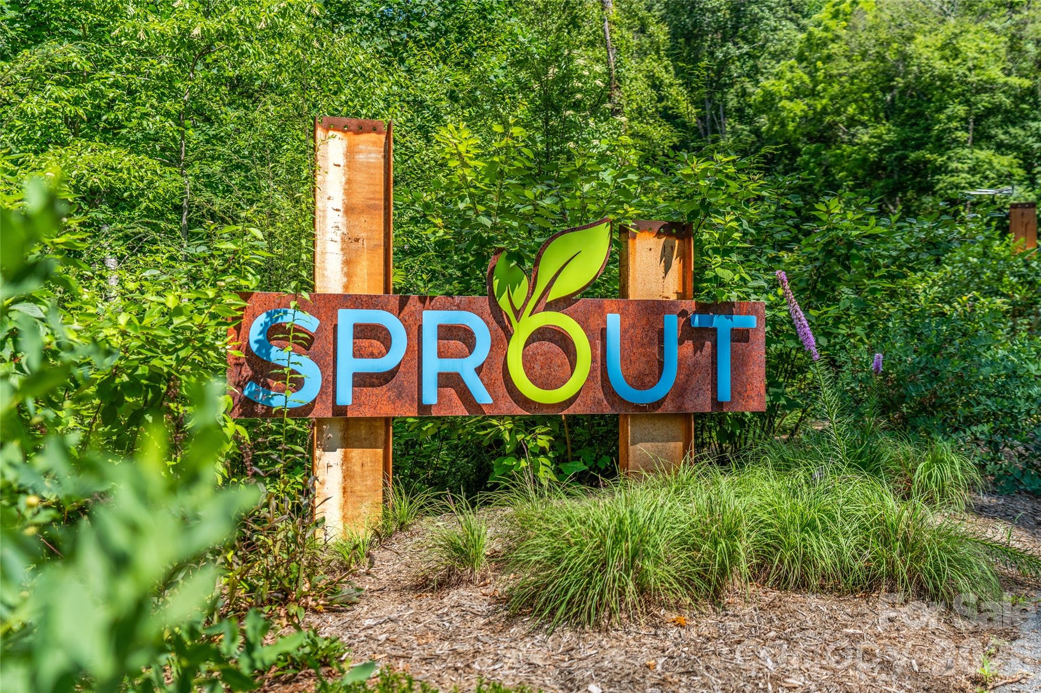 Sprout Mountain - Land