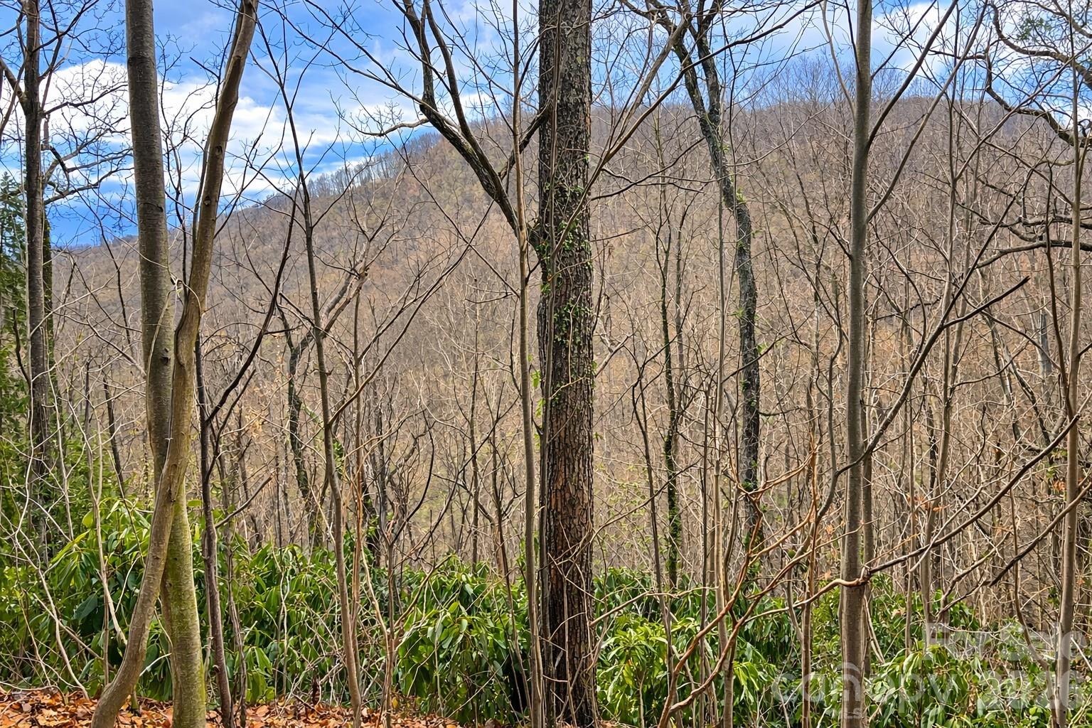 Build Your Mountain Dream in a Premier Gated Community: 

Discover the perfect opportunity to build your dream home on this 1.33-acre lot located in a private gated community with paved road access. Be one of the first to build in this section of this desirable development, giving you the chance to secure your place before the area fills in.

The sloped to steep terrain offers excellent potential for a home designed to take advantage of the beautiful  views throughout the area. Whether you envision a modern mountain retreat or a cozy getaway, this lot provides a stunning natural setting to bring your vision to life.

Located in an upscale community with an HOA, the neighborhood is thoughtfully maintained to protect property values and preserve the quality of the development. Even better, this lot is priced well below tax value, making it an exceptional opportunity for buyers looking to invest in mountain living.

If you’ve been searching for the right place to build, this is your chance to claim your spot early in a growing community with incredible potential.