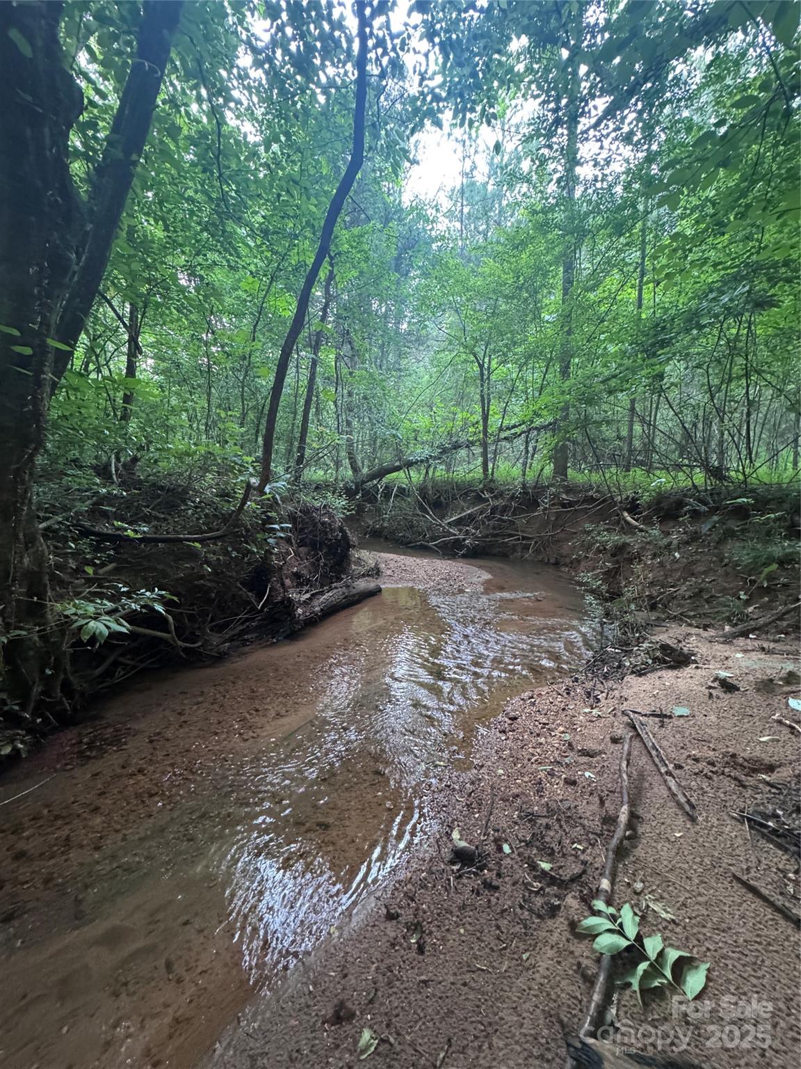 Clearwater Creek - Land