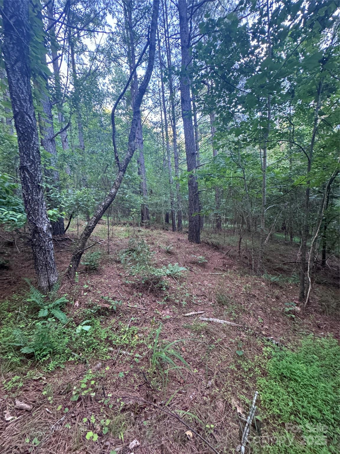 Clearwater Creek - Land