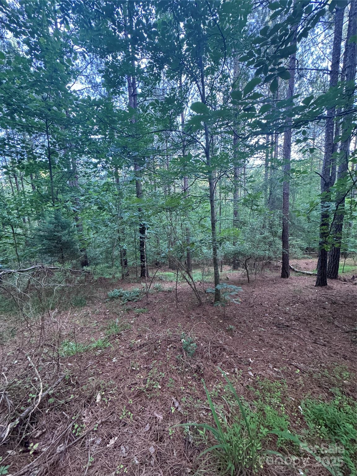 Clearwater Creek - Land