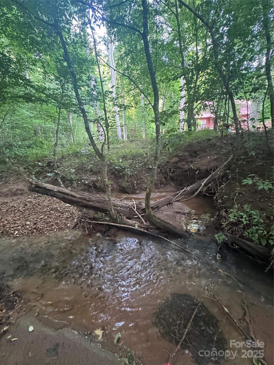 Clearwater Creek - Land