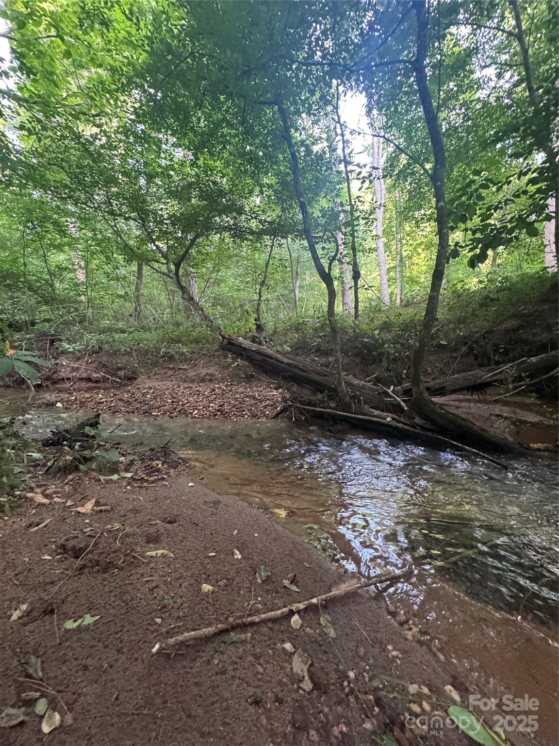 Clearwater Creek - Land