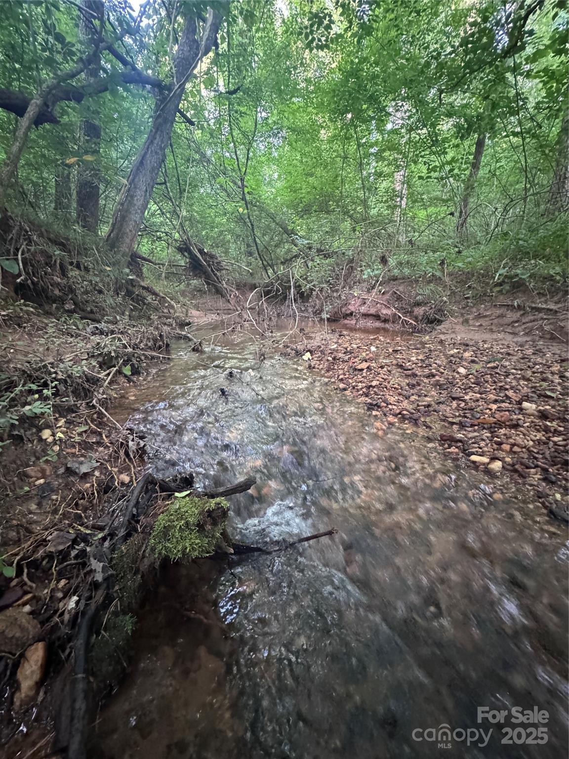 Clearwater Creek - Land