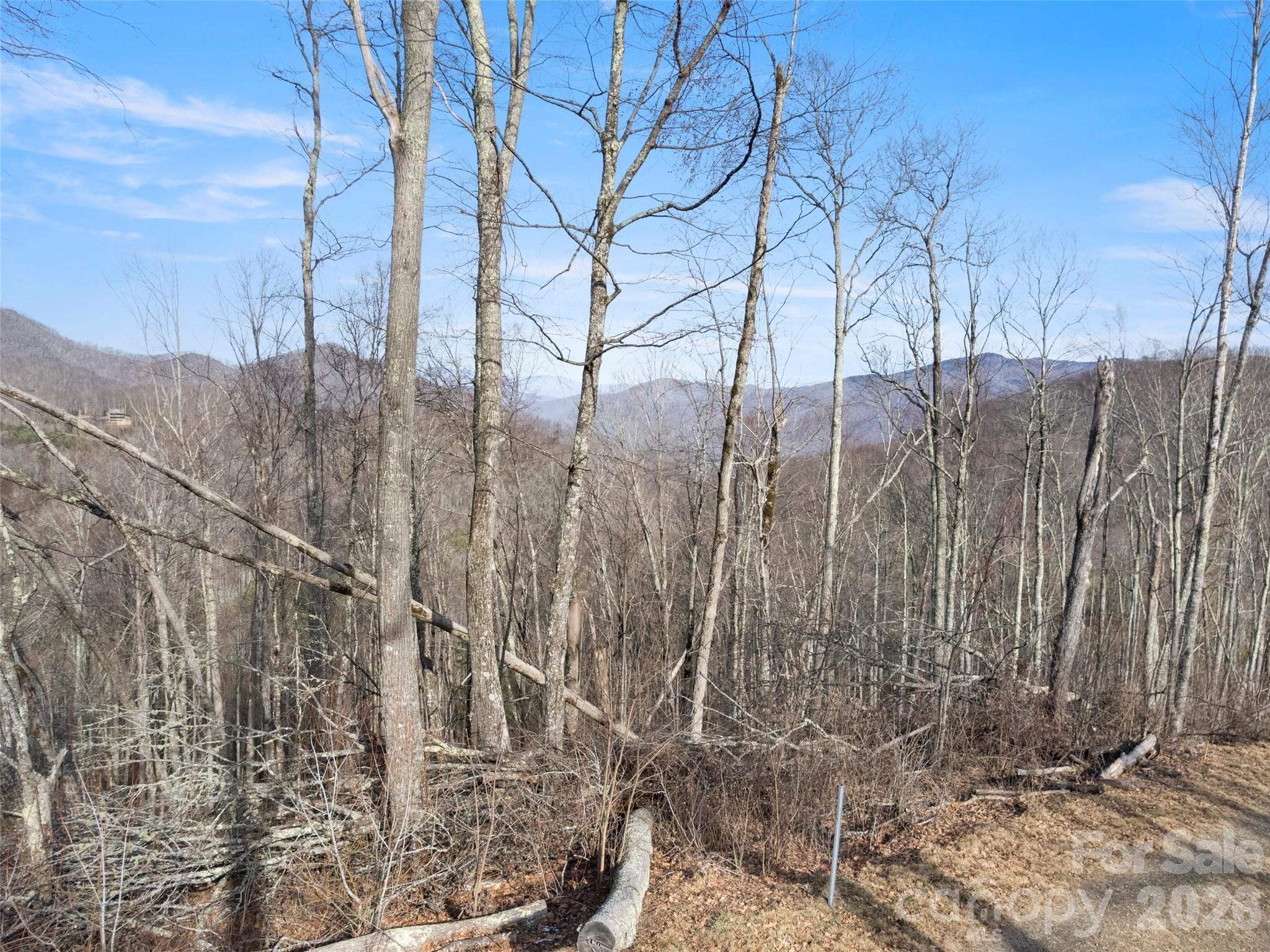 The Ridge Tops of Hawks Nest - Land