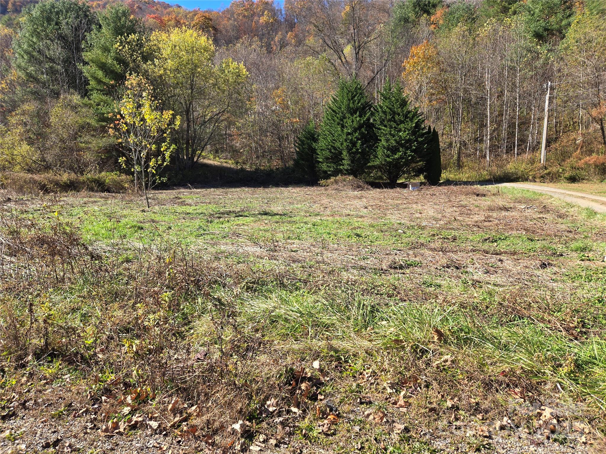 Rare unrestricted level field perfect for a self contained RV or Camper. Great proximity to Public lands and National park. Minutes to the Blue Ridge Parkway , Golf, Hiking and Trout fishing. Easy year round access close to Waynesville shopping and Dining.