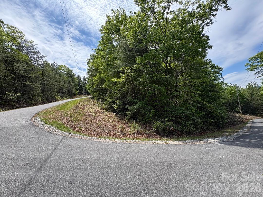 Linville Mountain Acres - Land