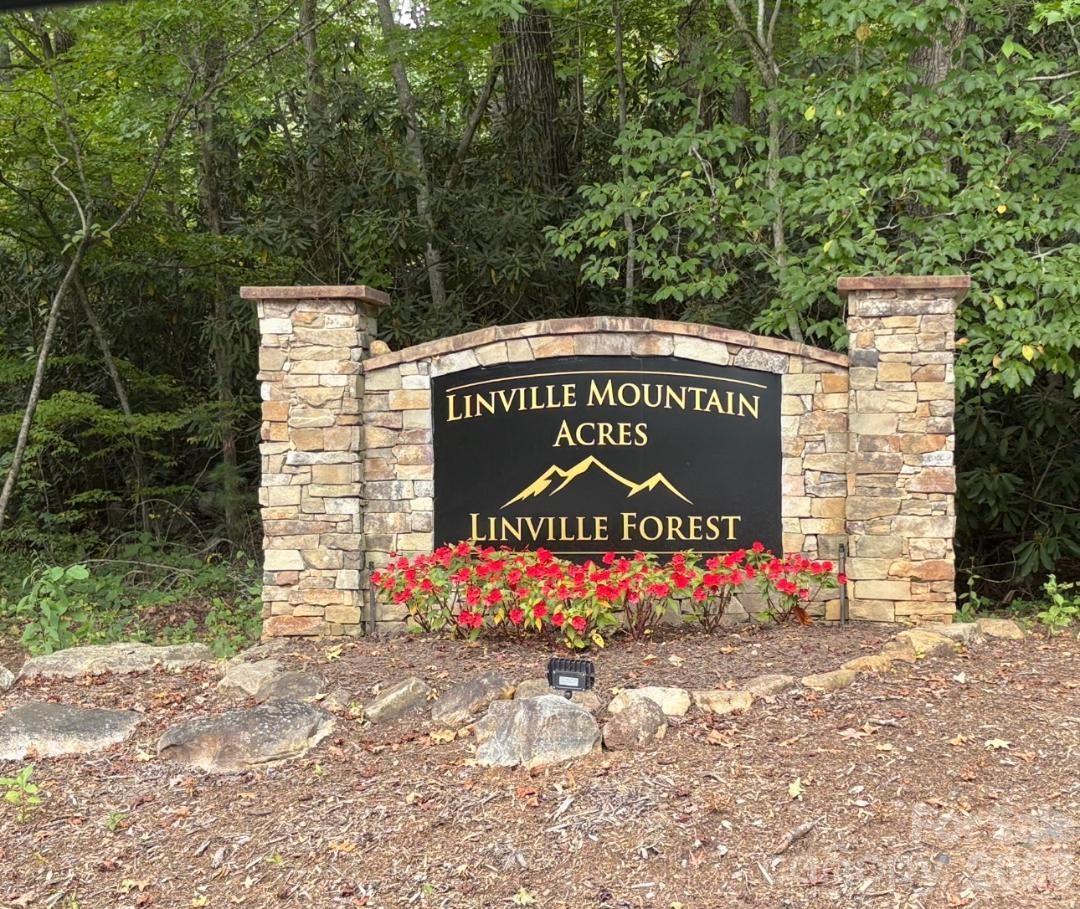 Linville Mountain Acres - Land