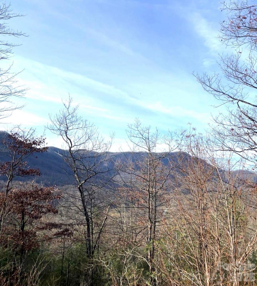 Linville Mountain Acres - Land