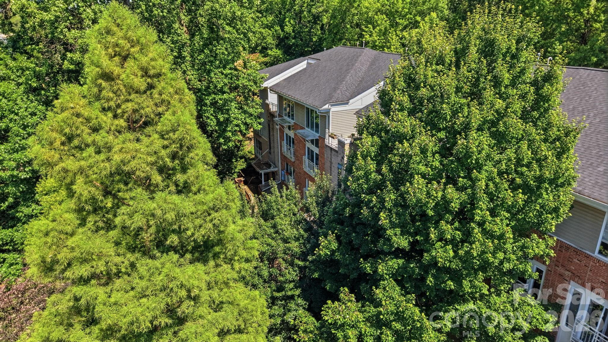 The Renaissance - Residential
