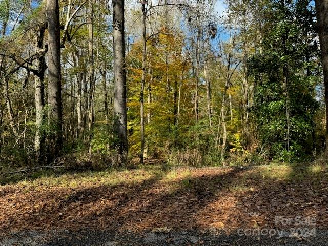 20 acres close to downtown Kershaw. Stevens Park close by. Build your dream home with lots of privacy. Can be subdivided. Well and septic needed.