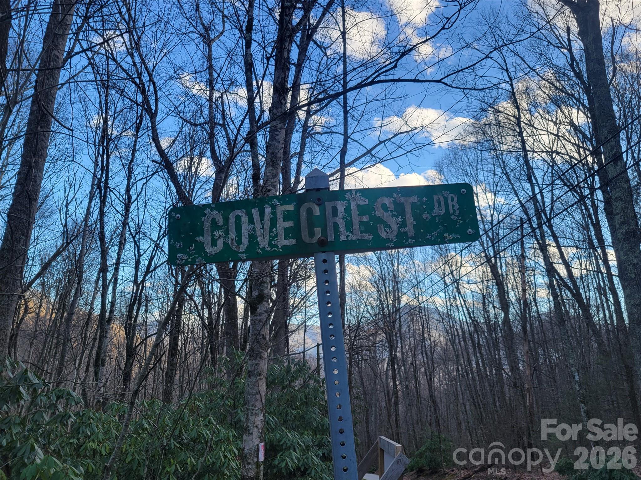 The Cove at Maggie Valley - Land