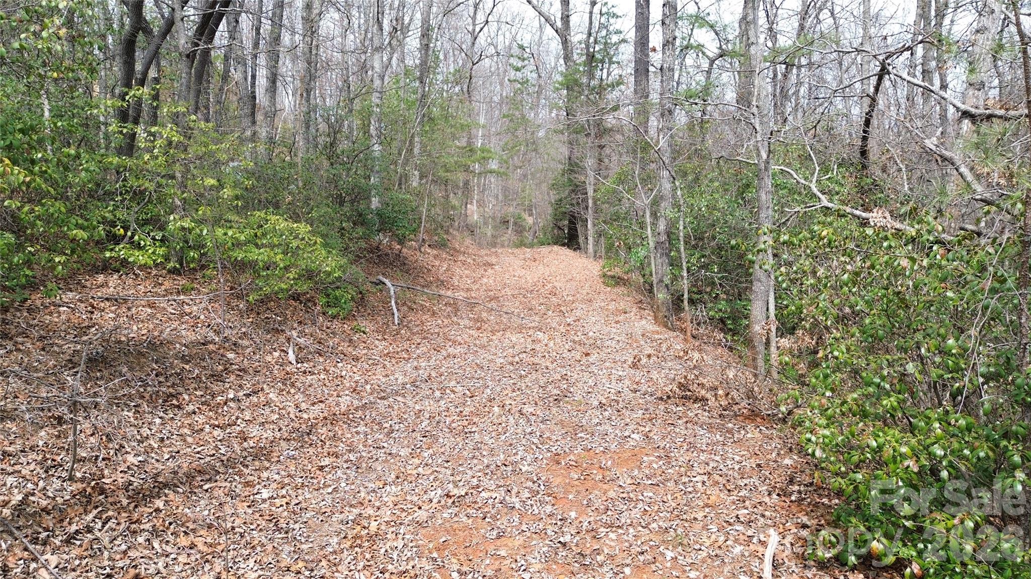 Gateway Mountain - Land