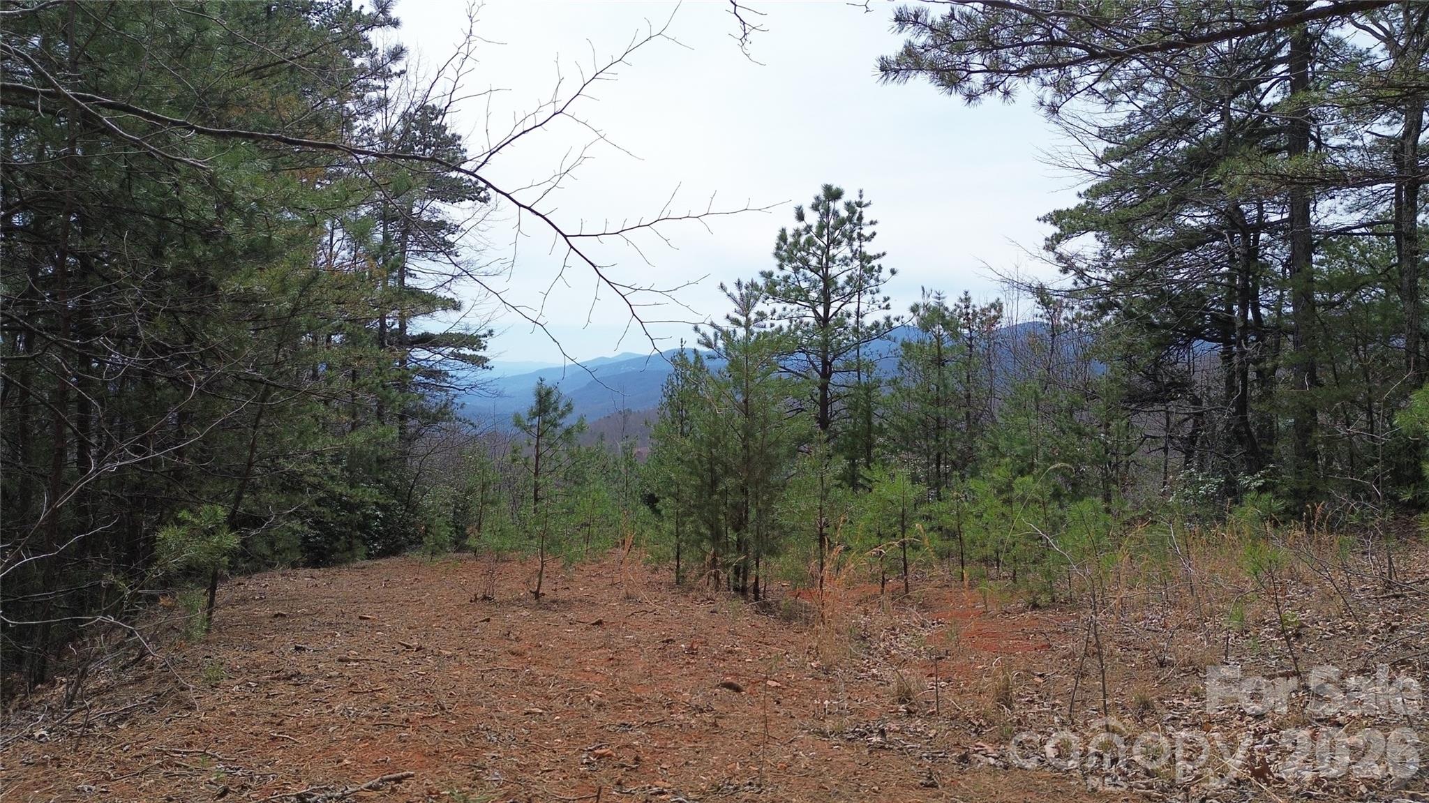 Gateway Mountain - Land