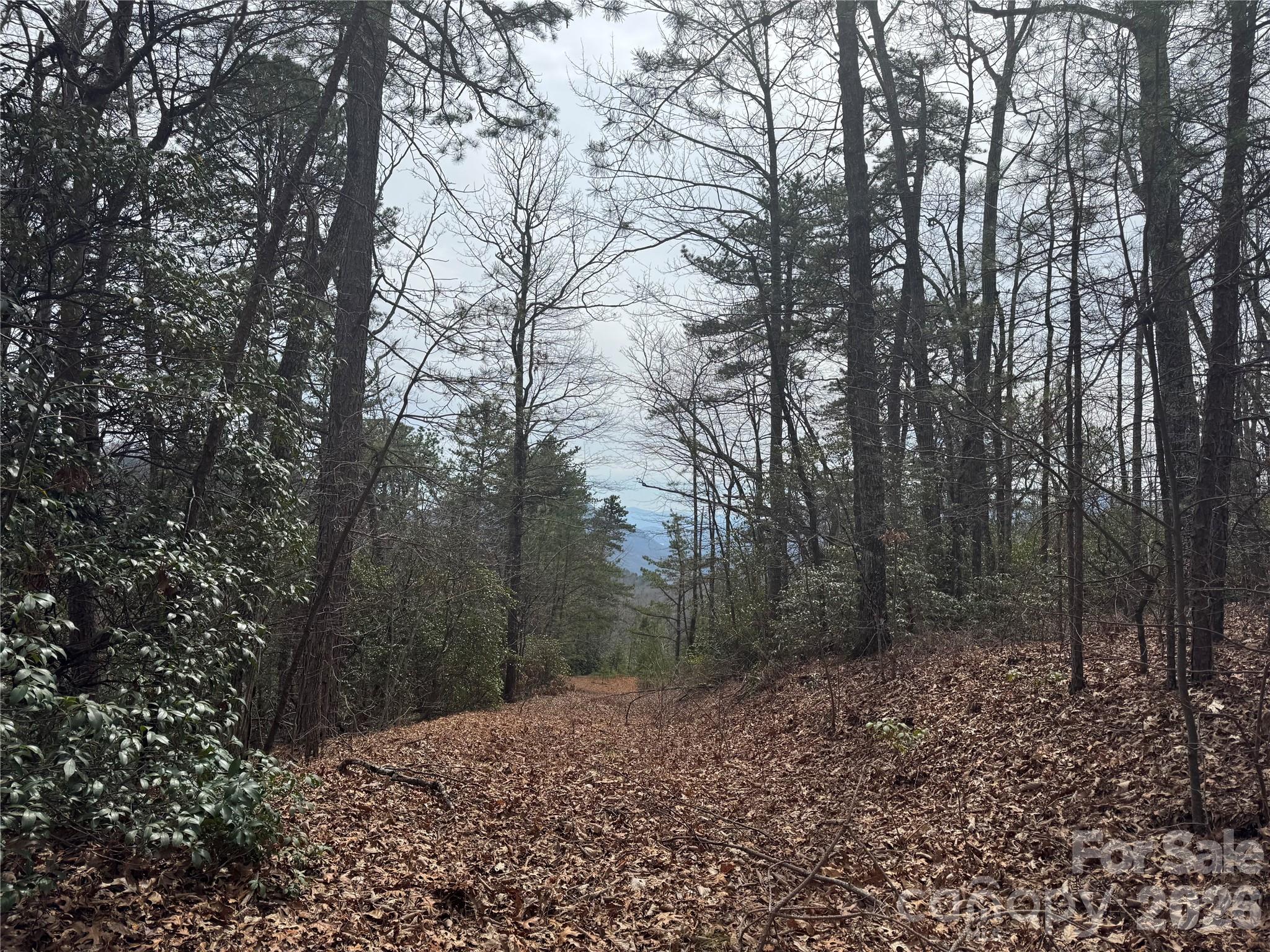 Gateway Mountain - Land