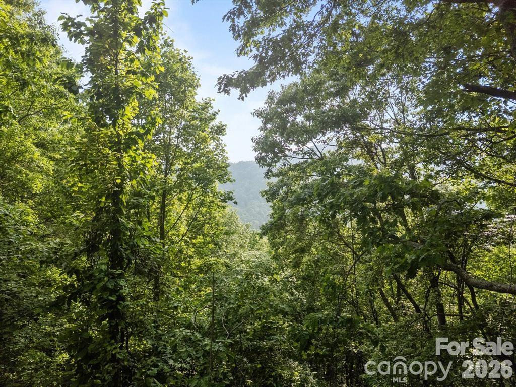 Escape to your own private mountain hideaway just 25–30 minutes from Asheville. Tucked away in Mars Hill, this  1.21-acre mountaintop parcel offers the rare opportunity to create a retreat surrounded by nature, peace, and panoramic potential.

Perched at elevation, the property features the possibility for stunning long-range mountain views with selective tree clearing. Ideal for buyers seeking a true escape from the noise, this land offers the feeling of being worlds away while still remaining conveniently close to Asheville’s dining, arts, and outdoor adventure scene.
AWD/4X4 recommended, and necessary in the winter. Utilities have not yet been established.  The lot has a flat area from the road and slopes down from there. 

Whether you're dreaming of a cabin retreat, off-grid homestead, vacation escape, or long-term investment in the Western North Carolina mountains, this parcel delivers exceptional value at just $16,000.

Please be mindful of neighbors, as they maintain the road and have asked for drivers to use care when accessing the property.