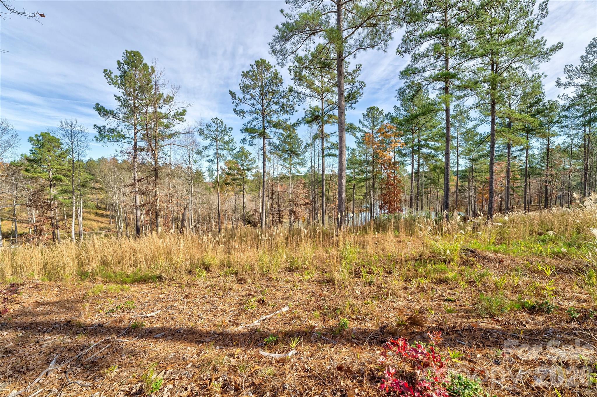 Lakeside Reserve - Land