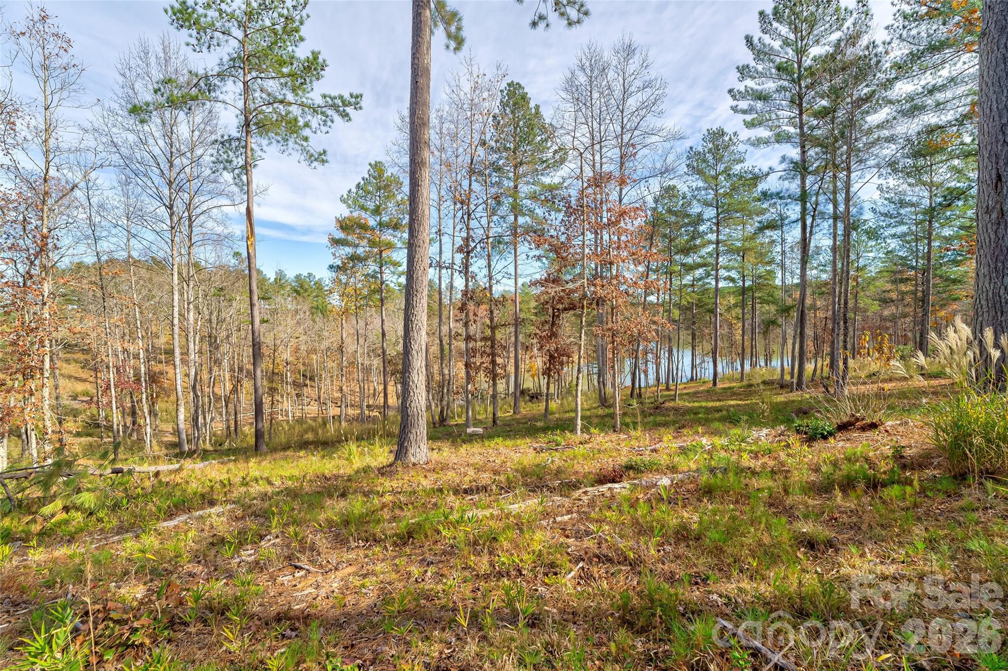 Lakeside Reserve - Land