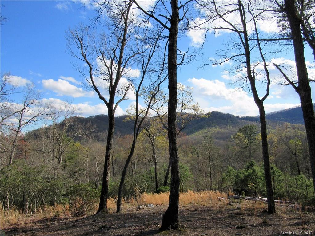 Mountain view, estate home site within the gates of The Cliffs at Walnut Cove. Gorgeous setting, with old growth trees, mountain laurel, and rhododendron. Very gentle build site, with a desirable South West view. Also located in a mature part of the neighborhood. Membership access available.