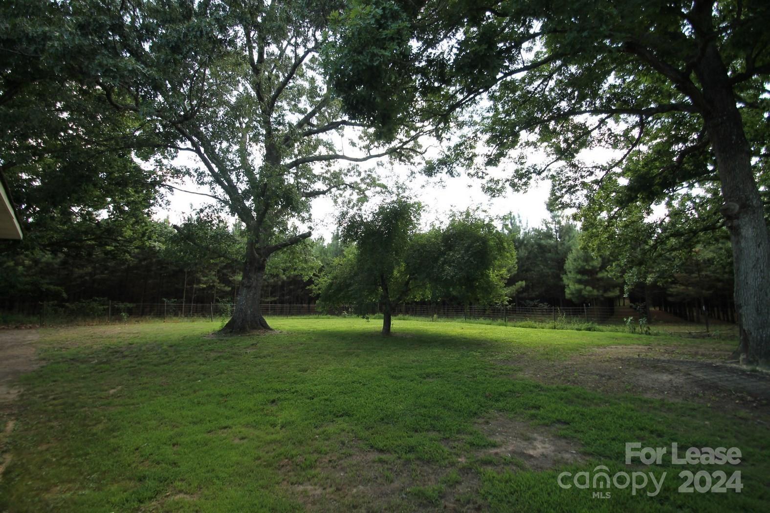 None - Residential Lease