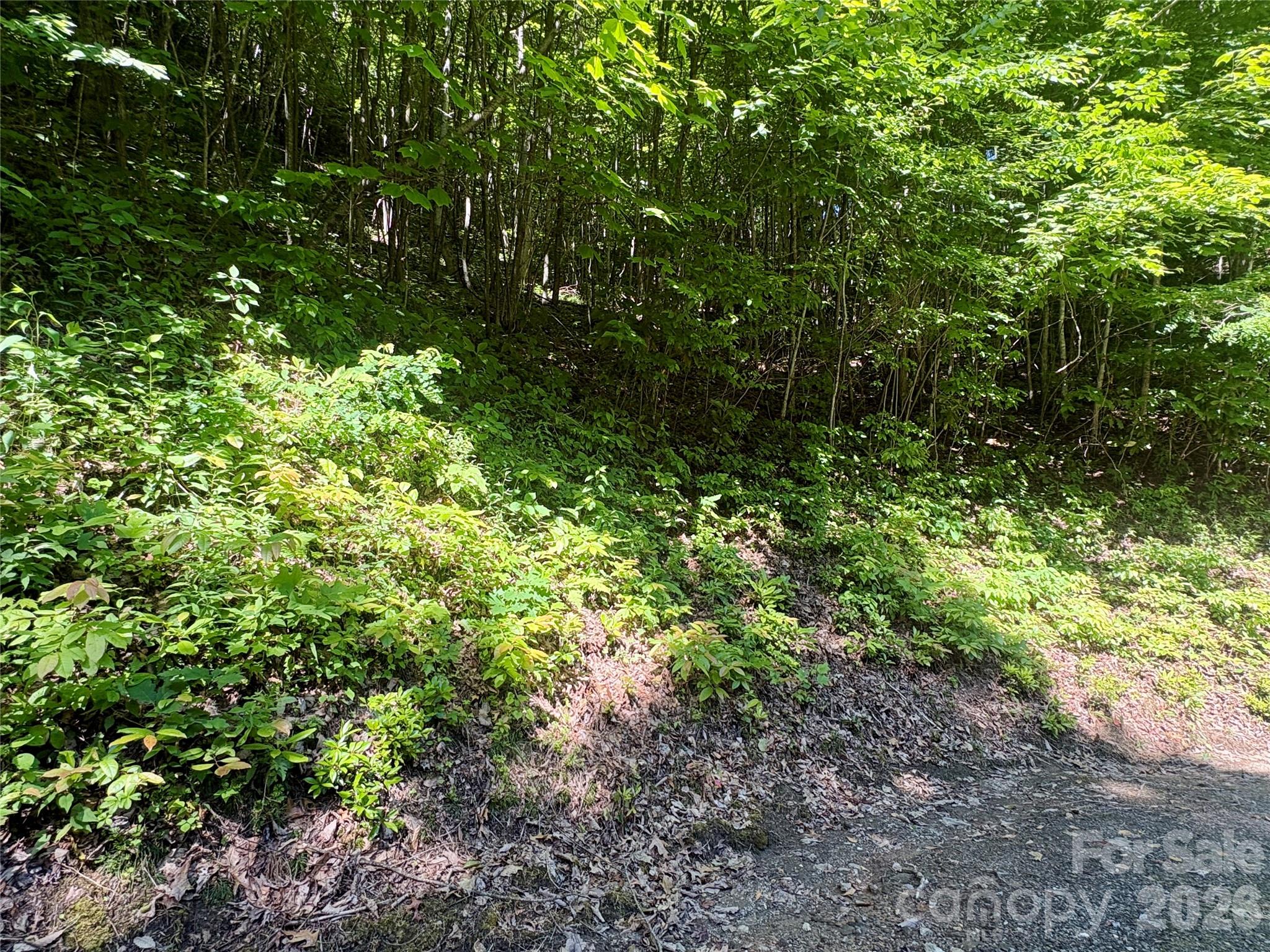 Coppermine Ridge - Land