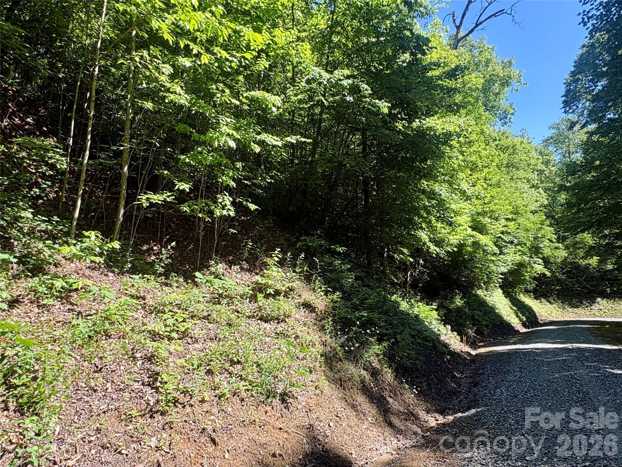 Discover the perfect blank canvas for your dream mountain retreat on this 2.273-acre wooded property nestled at 3,200 feet elevation in the quiet, gated community of Coppermine Ridge. Enjoy a picturesque drive to the property, winding along scenic creeks and past cascading waterfalls. The lush, forested setting offers privacy and tranquility, with the potential for stunning views depending on your chosen homesite. With driveway and homesite excavation still needed, you have the freedom to design and build exactly as you envision. Embrace the peace and natural beauty of this unique property and make it your own mountain sanctuary. Very easy access to Golfing, Hiking, Shopping, and Restaurants. Just minutes to Bryson City, Cherokee, the National Park, and more!