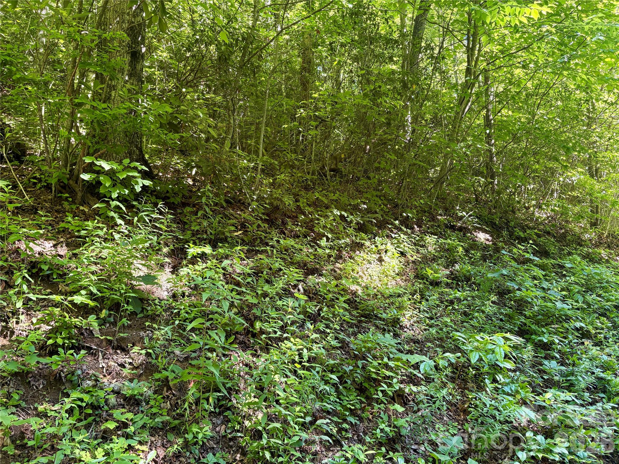 Coppermine Ridge - Land