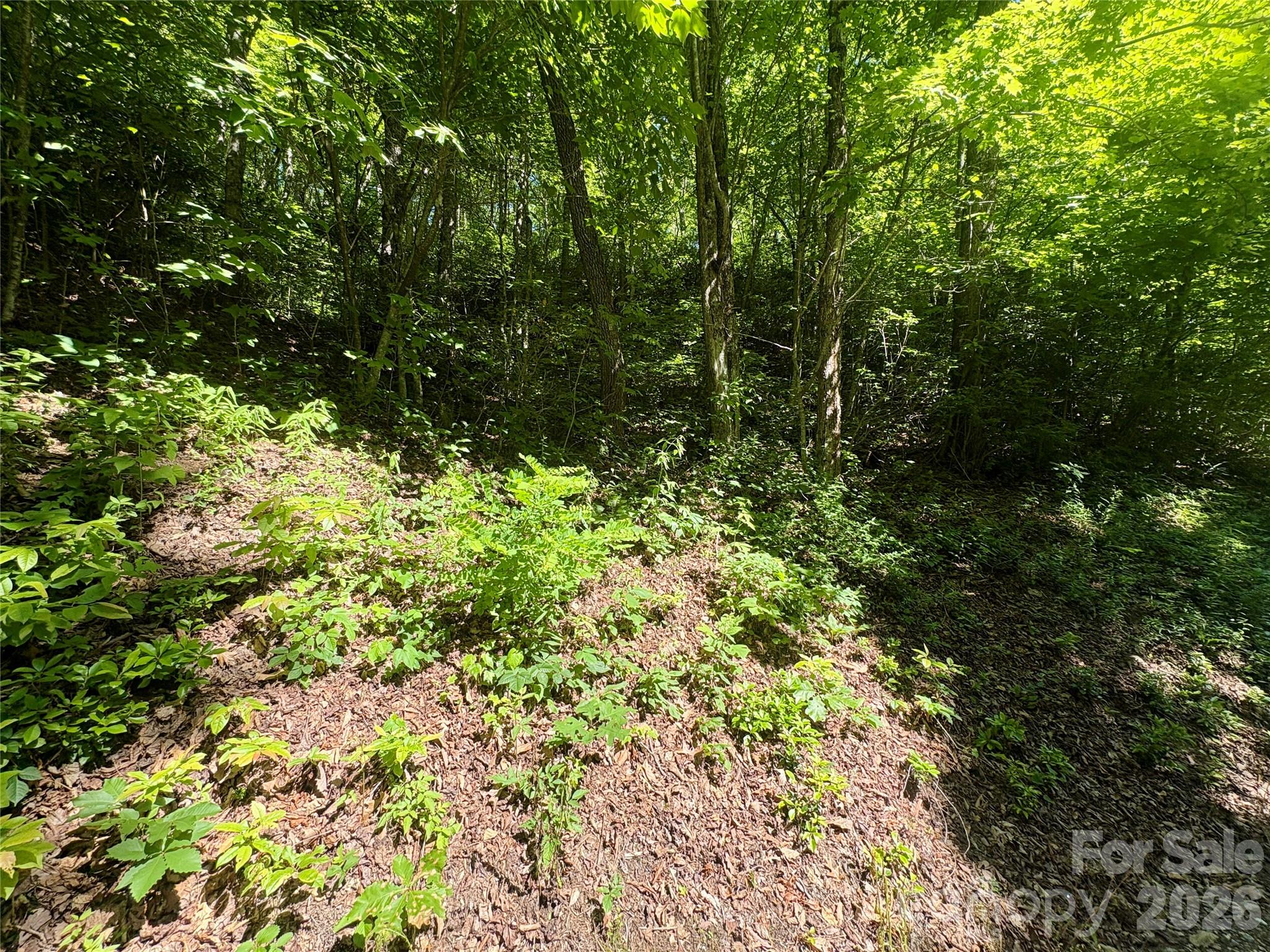 Coppermine Ridge - Land