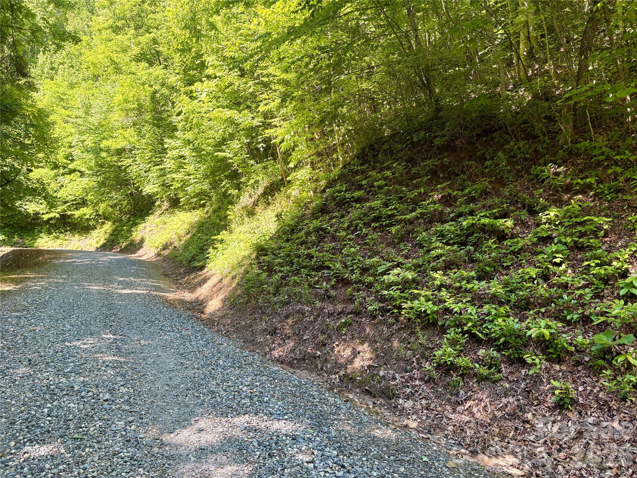 Coppermine Ridge - Land