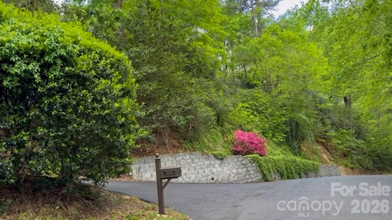 Rumbling Bald on Lake Lure - Residential