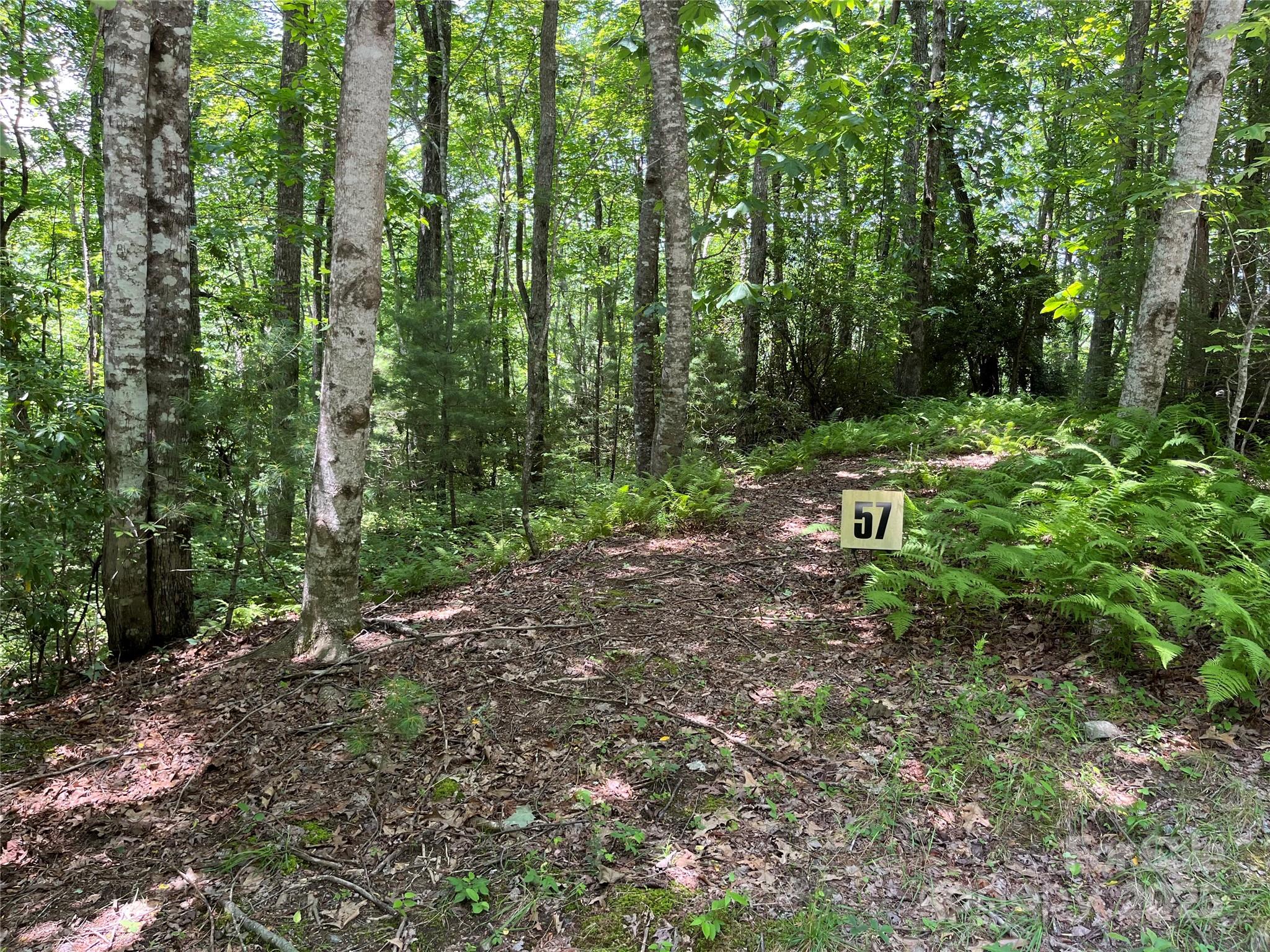 The beautiful neighborhood of Big Hill in Brevard is perfect for the mountain getaway.  This lot is in a great location and is very buildable while offering space and privacy.  At over 3 acres it's one of the great deals in the area.  The community is very near to downtown Brevard which is a destination for all Mountain goers offering great food, shopping, art galleries, and events.  It's a quick drive to Dupont Forest, waterfalls, hiking trails, and golf.  This is a great opportunity to get in for a mountain retreat or full time living residence.  Welcome to the community!  This lot has access to a shared well and has been perced for a 4-bed septic.