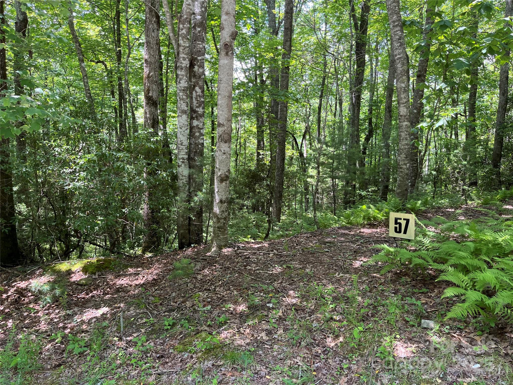 Big Hill - Land