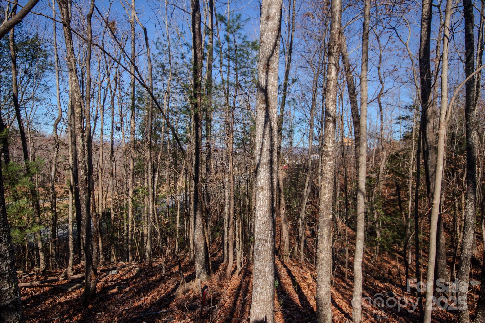 Huntington Woods North - Land