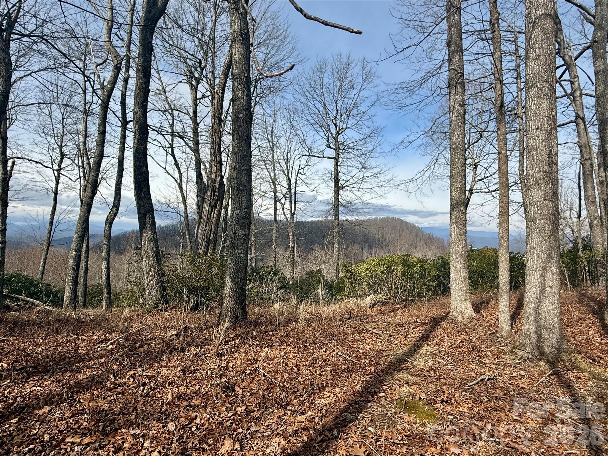 Joshua Summit - Land