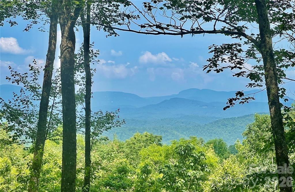 Views! Views! Views! If you are looking for and absolutely beautiful lot that is off the beaten path, this one is for you. High atop a knoll in Joshua Summit is lot 10. It boasts Northern views of the Blue Ridge Parkway, Western Views of Hogback Mountain, and Eastern Views of the Headwaters State Park. The topography of this lot makes it very usable and an easy build. The minimum square footage to build is 900. That makes it perfect for your mountain getaway. Joshua Summit and Line Runner ridge also has a gated entrance. With this lot, you have the option to pay a yearly fee for rights to enjoy Line Runner Lake, a private eleven-acre lake. There is a dock and picnic area for their use at the Northwest corner of the lake. You can enjoy paddle sports and fishing for bass, catfish, and trout. This mountain paradise is only 5.5 miles from all the conveniences of Main Street Rosman and 14 miles from Main Street Brevard.
