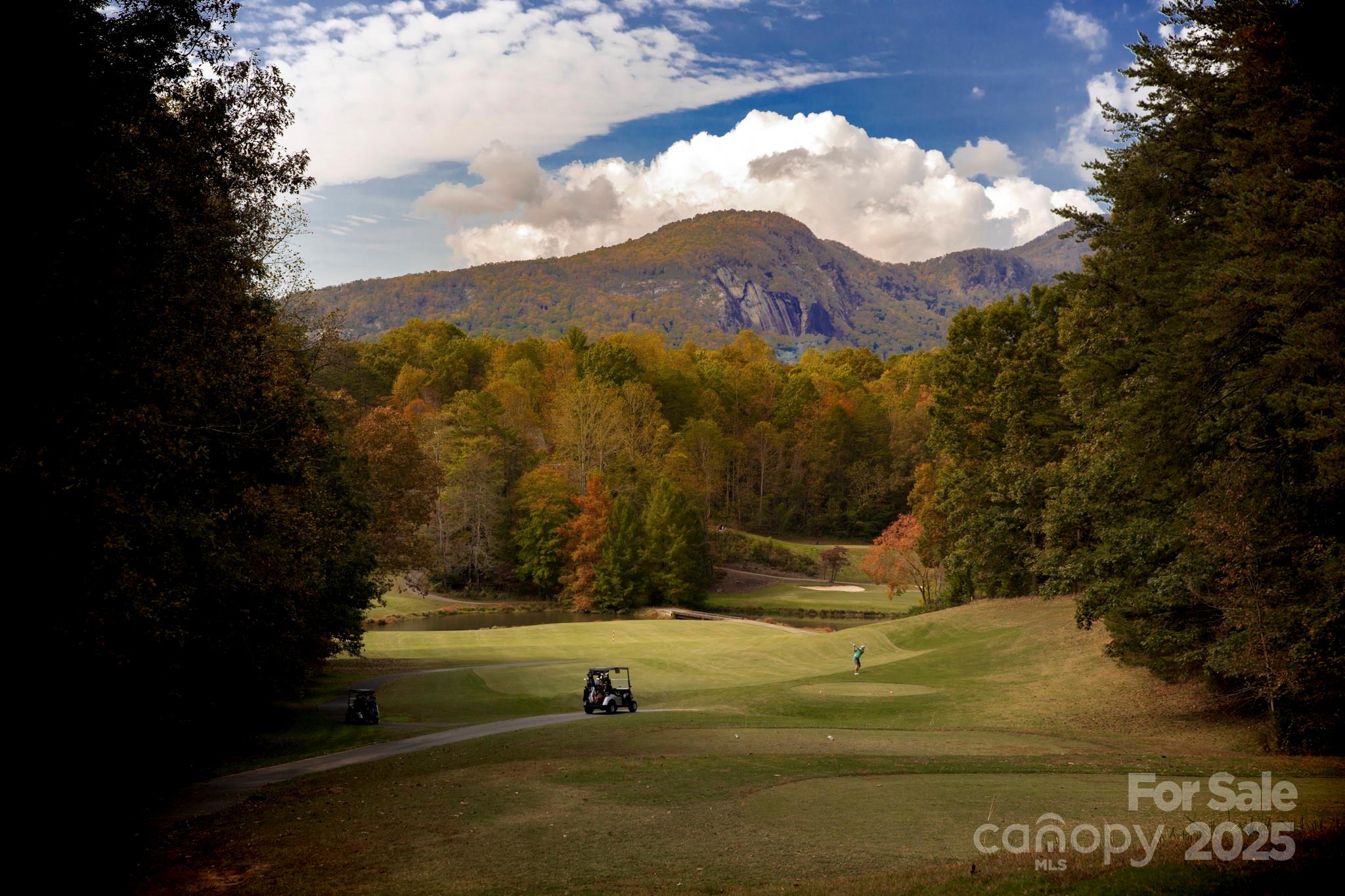 Rumbling Bald on Lake Lure - Residential