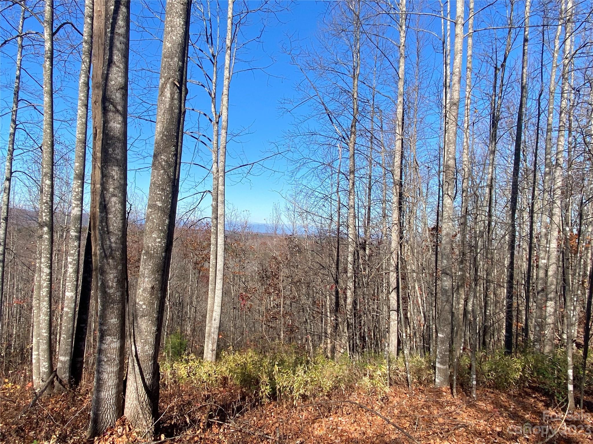 Welcome to Hidden Lake!  This gated log home community is located in the foothills of WNC.  This 1.5-acre property is at the top of this development and has 360 views at different times of the year. Opportunities like this don't come around very often.  The community offers a Pool with a pool house, lake, floating dock for catch and release fishing, picnic areas, Play area, walking trail, and security gates.