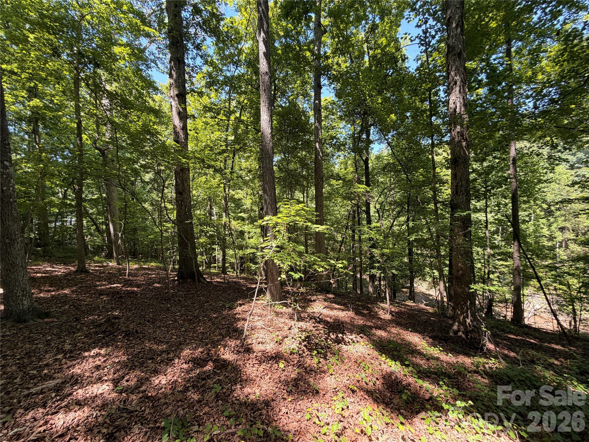 Spring Acres - Land