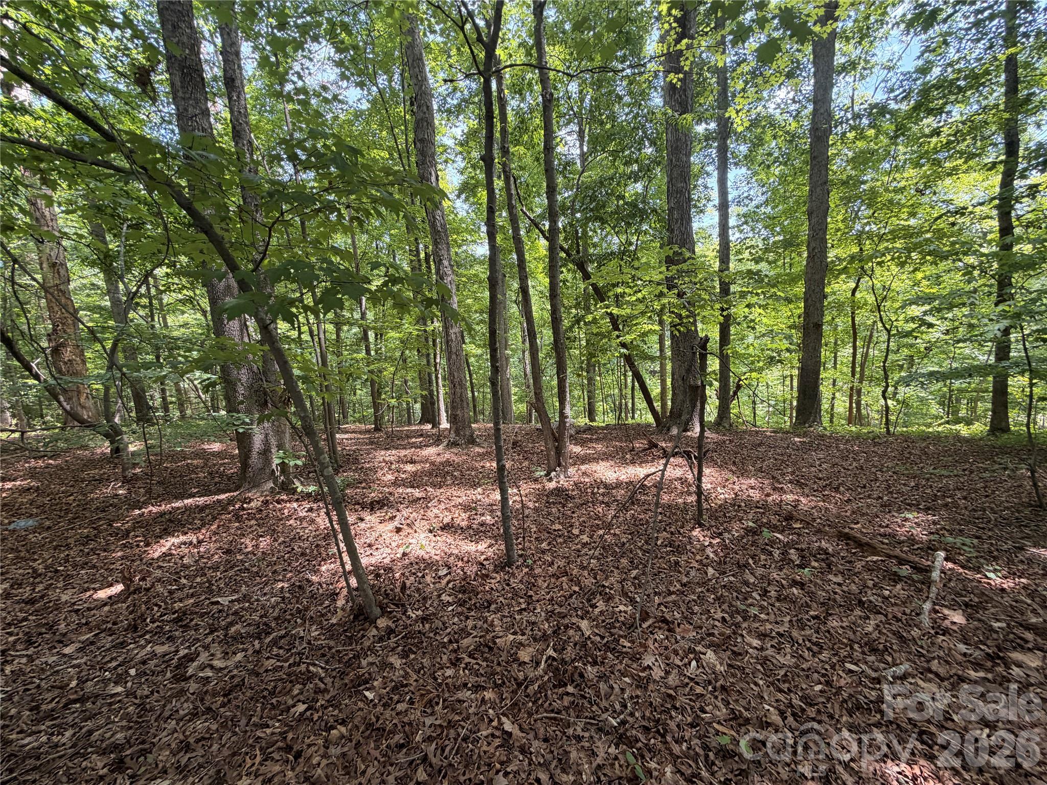 Spring Acres - Land