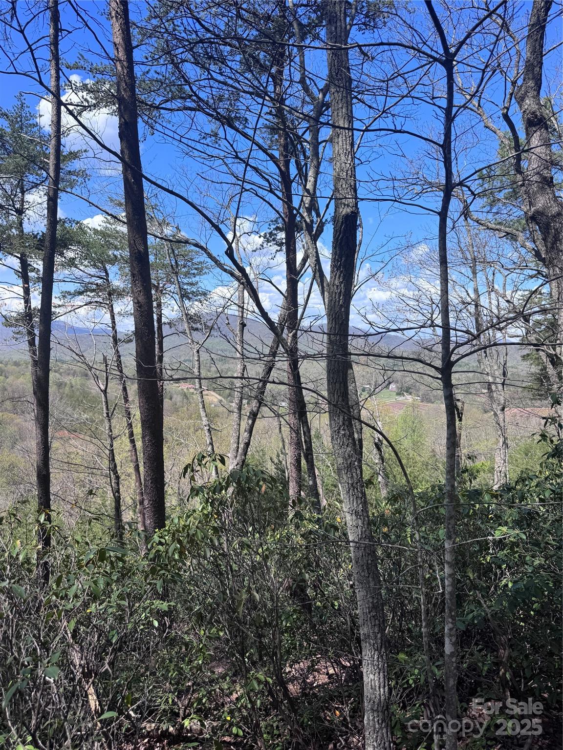 Vista At Bills Mountain - Land
