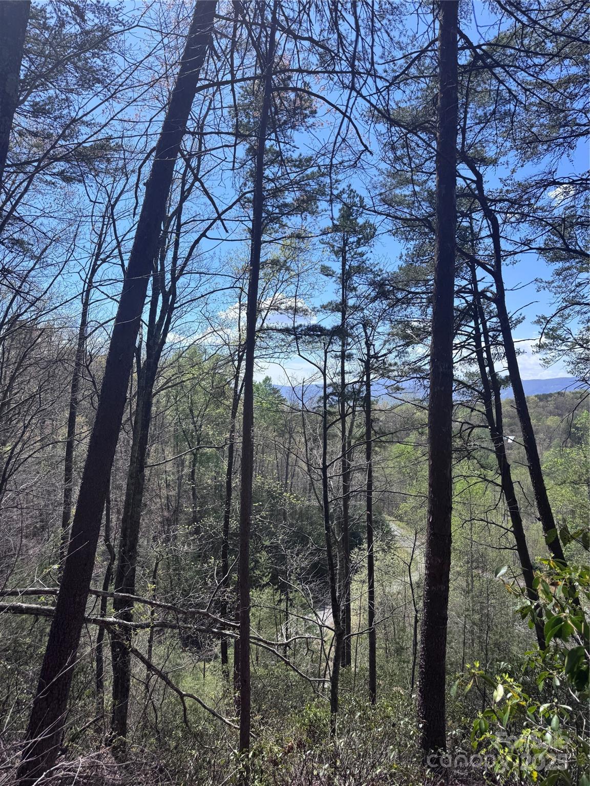 Vista At Bills Mountain - Land