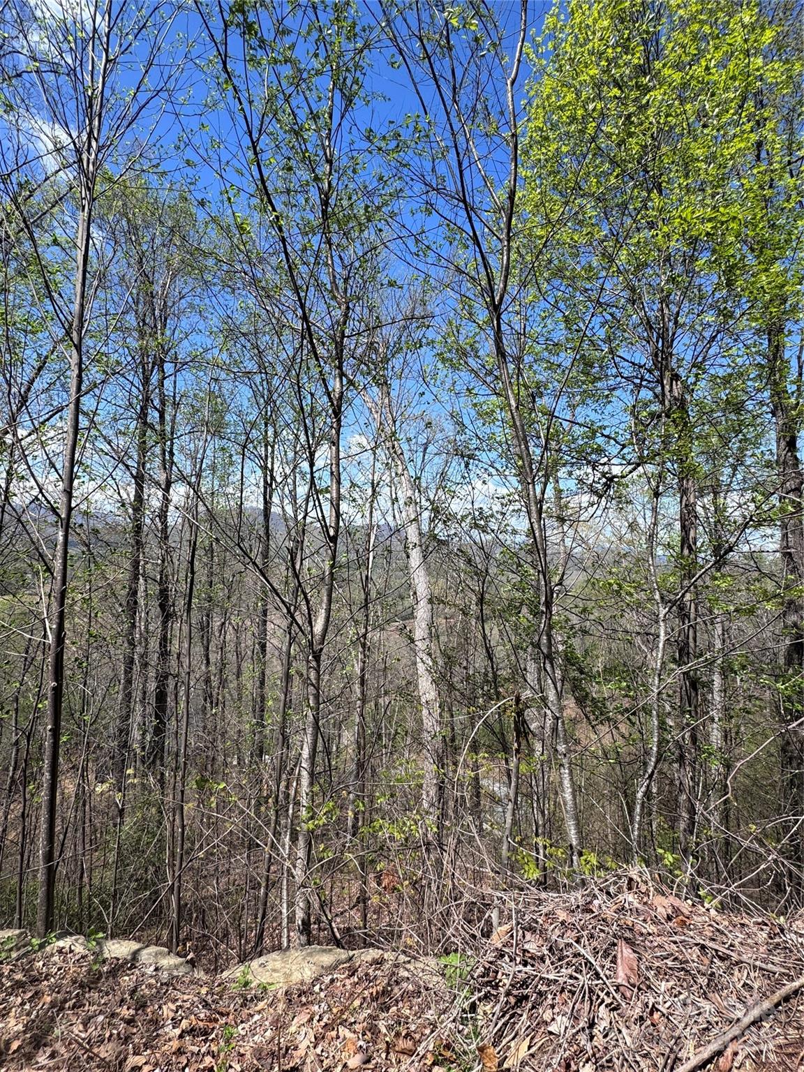 Vista At Bills Mountain - Land