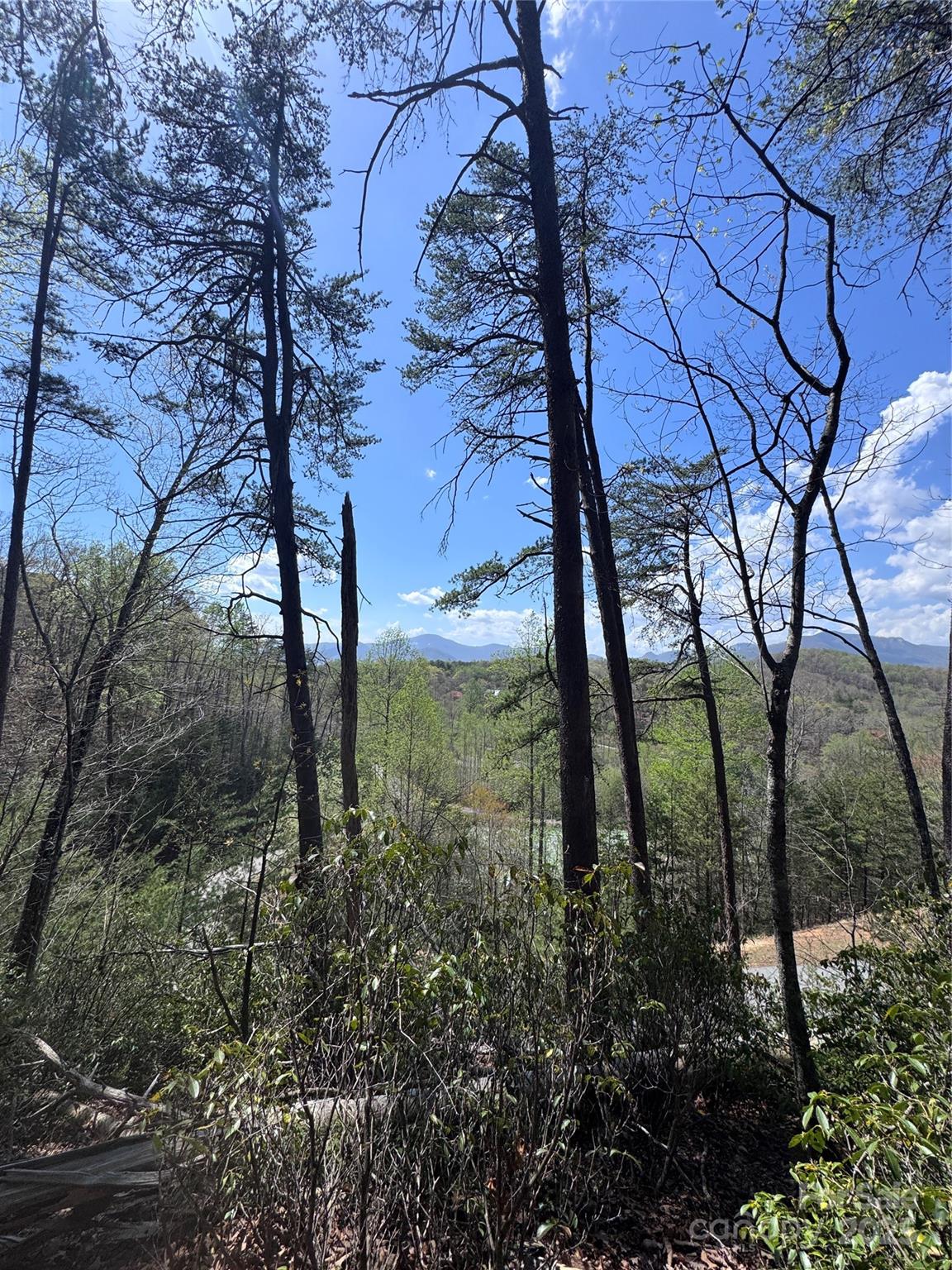 Vista At Bills Mountain - Land