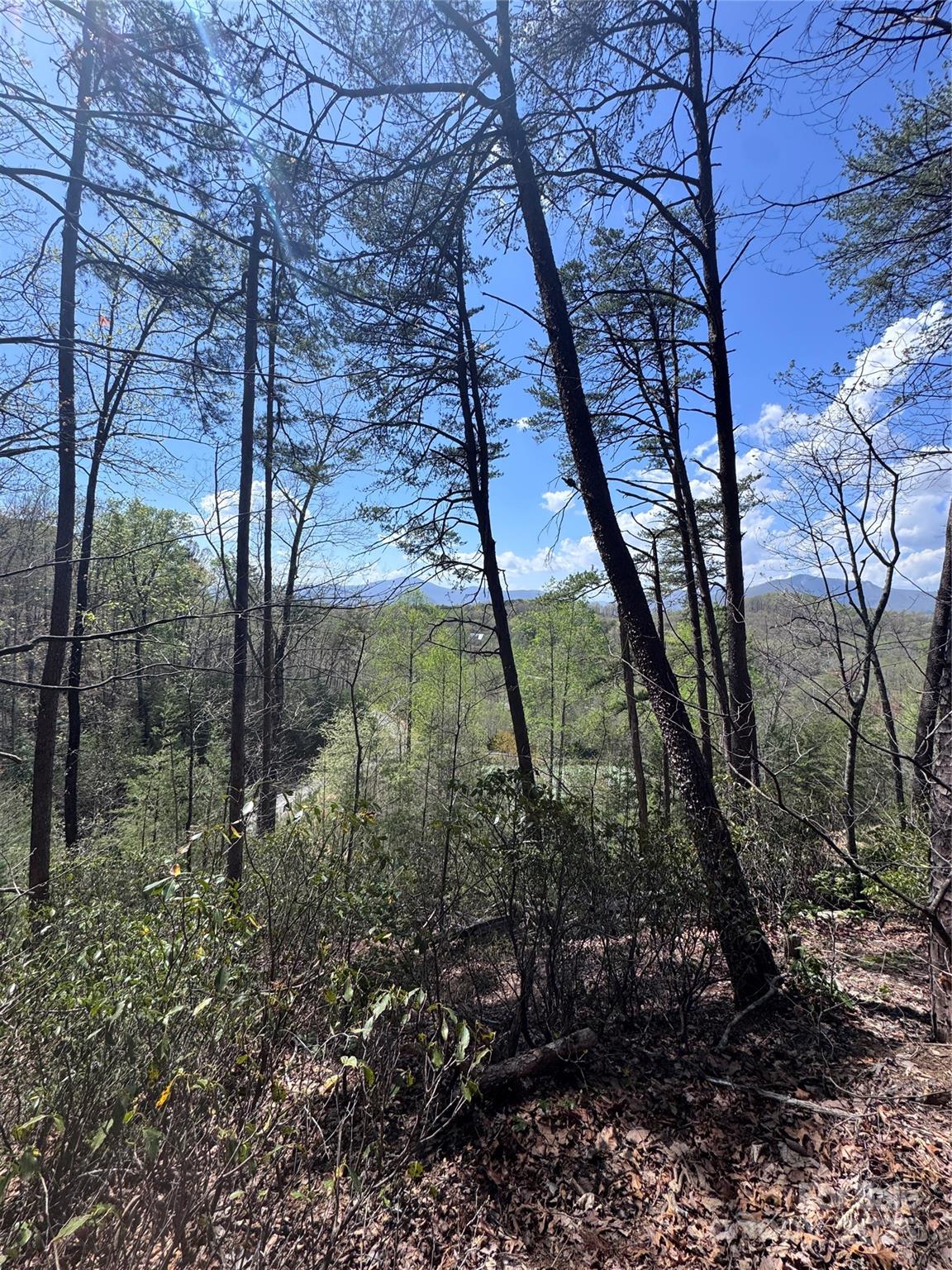 Vista At Bills Mountain - Land