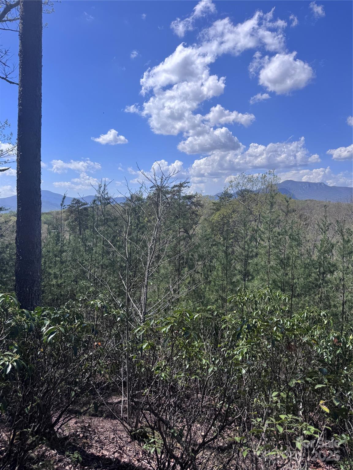 Vista At Bills Mountain - Land
