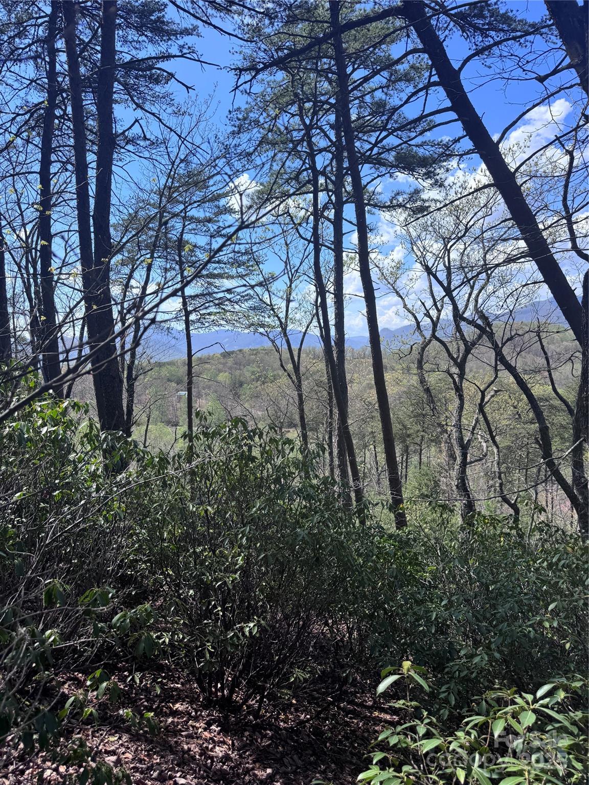 Vista At Bills Mountain - Land