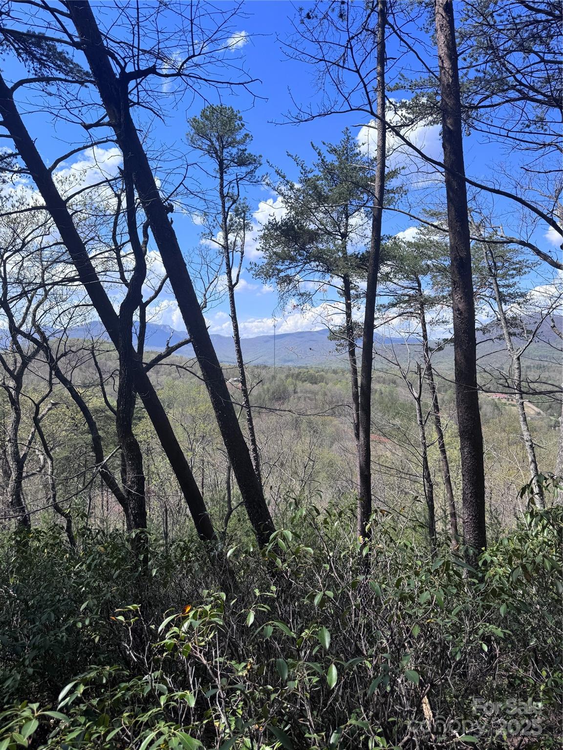 Vista At Bills Mountain - Land