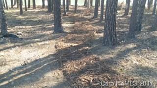Handsmill On Lake Wylie - Land