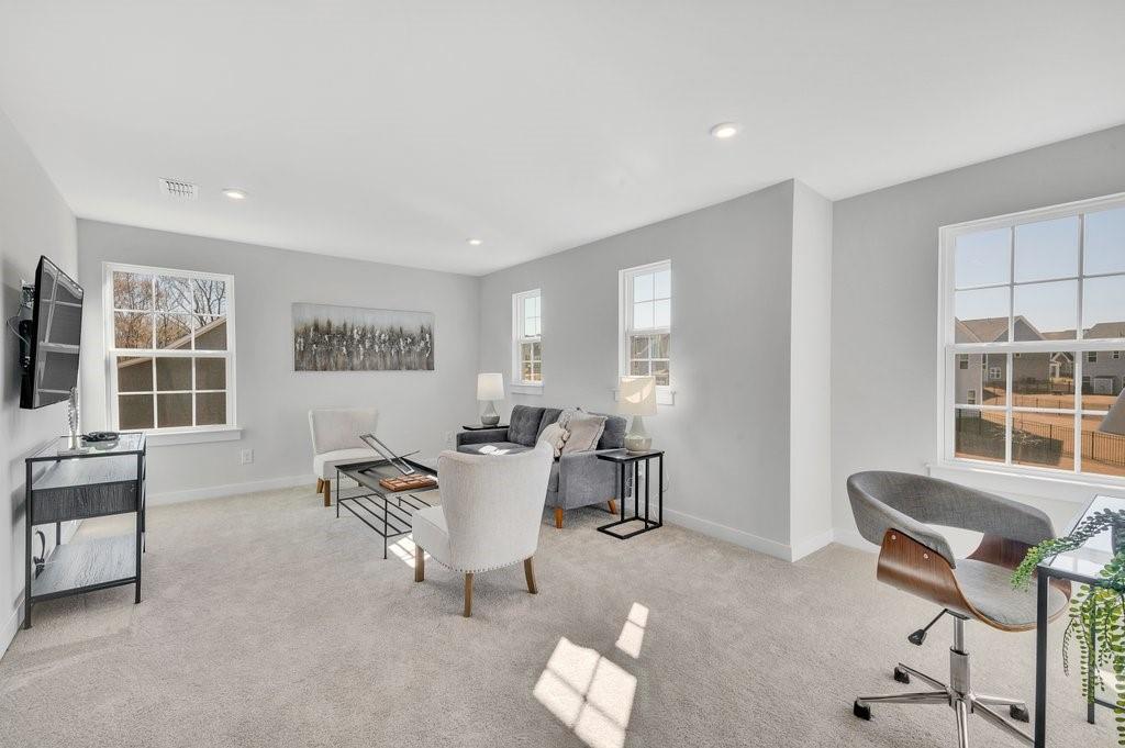 Ansley Park - Residential