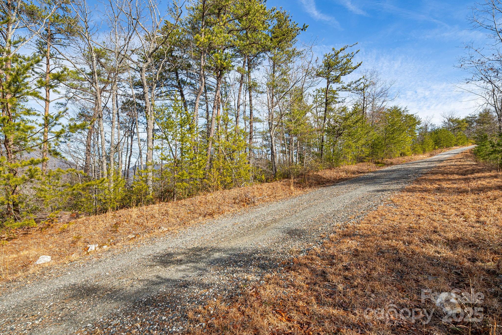 Fox Ridge - Land